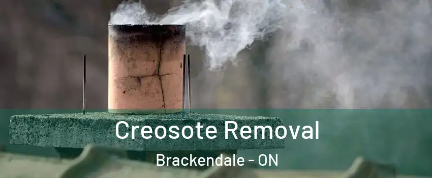 Creosote Removal Brackendale - ON
