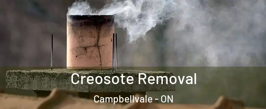  Creosote Removal Campbellvale - ON