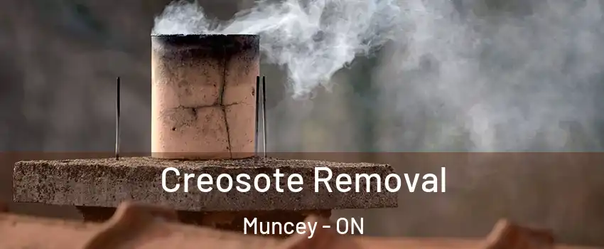  Creosote Removal Muncey - ON