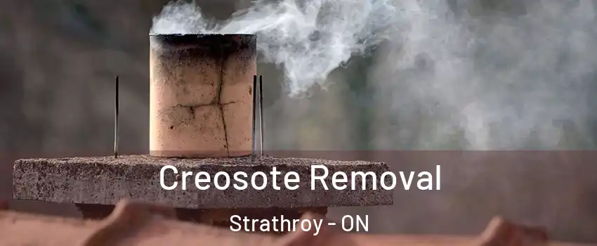  Creosote Removal Strathroy - ON