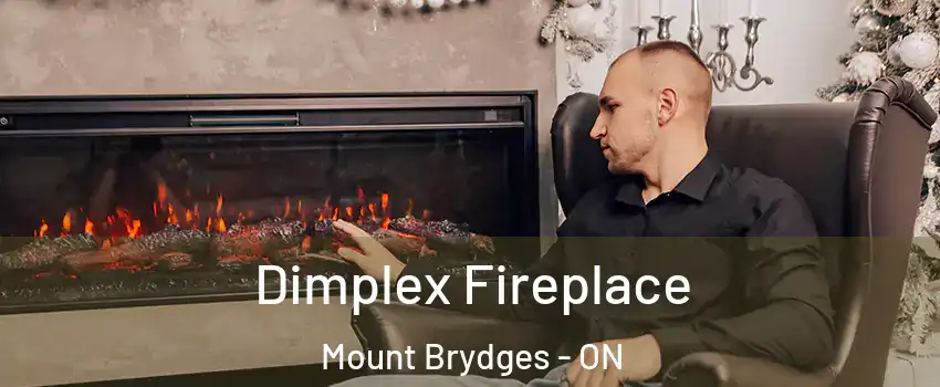  Dimplex Fireplace Mount Brydges - ON