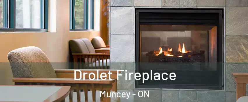  Drolet Fireplace Muncey - ON