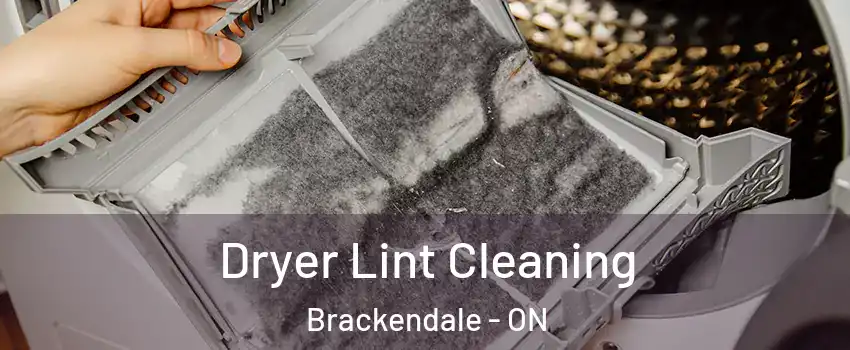  Dryer Lint Cleaning Brackendale - ON