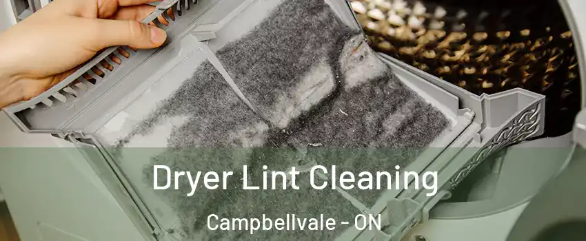  Dryer Lint Cleaning Campbellvale - ON