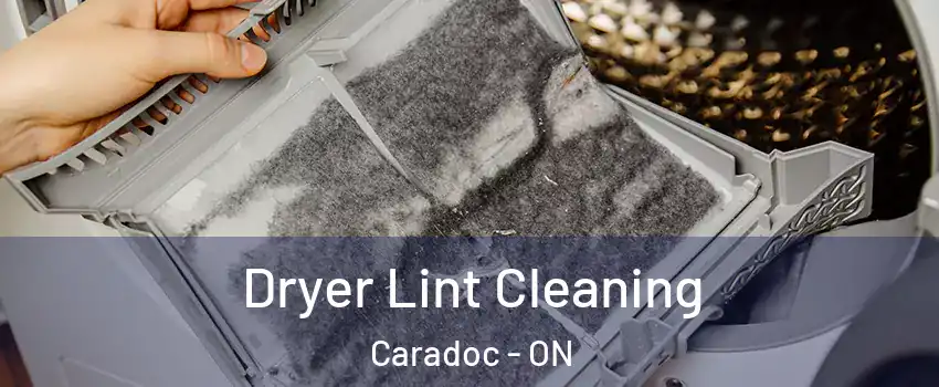  Dryer Lint Cleaning Caradoc - ON