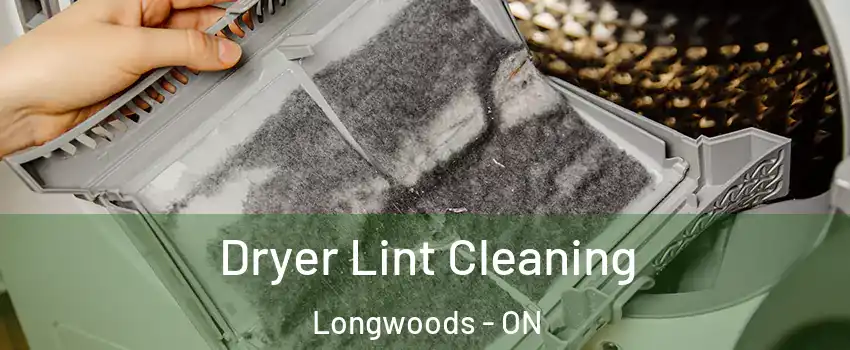  Dryer Lint Cleaning Longwoods - ON
