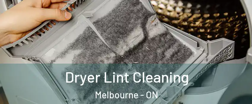  Dryer Lint Cleaning Melbourne - ON