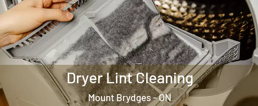  Dryer Lint Cleaning Mount Brydges - ON