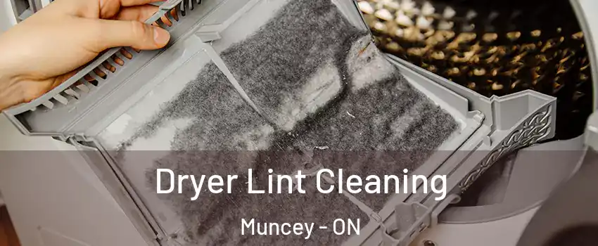 Dryer Lint Cleaning Muncey - ON