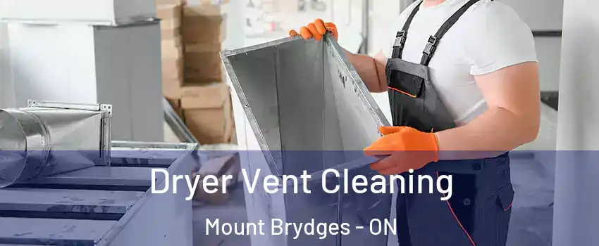  Dryer Vent Cleaning Mount Brydges - ON