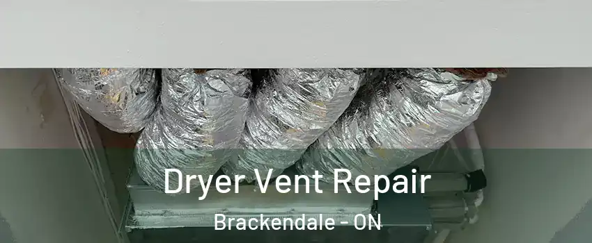  Dryer Vent Repair Brackendale - ON