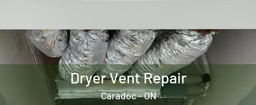  Dryer Vent Repair Caradoc - ON
