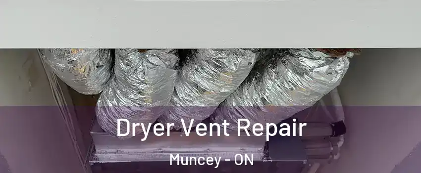  Dryer Vent Repair Muncey - ON