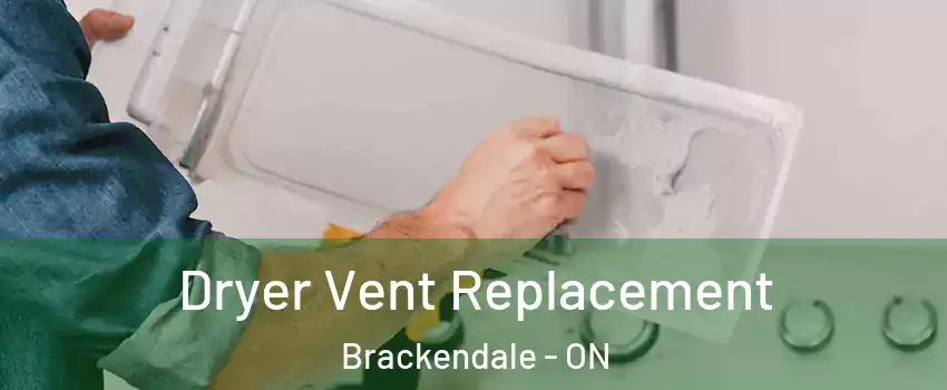 Dryer Vent Replacement Brackendale - ON