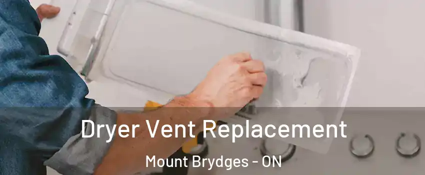  Dryer Vent Replacement Mount Brydges - ON