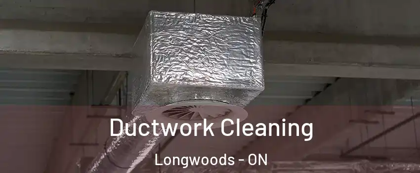  Ductwork Cleaning Longwoods - ON