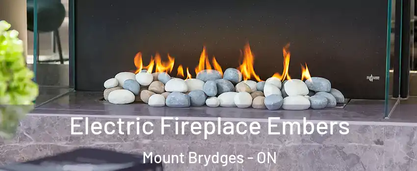  Electric Fireplace Embers Mount Brydges - ON