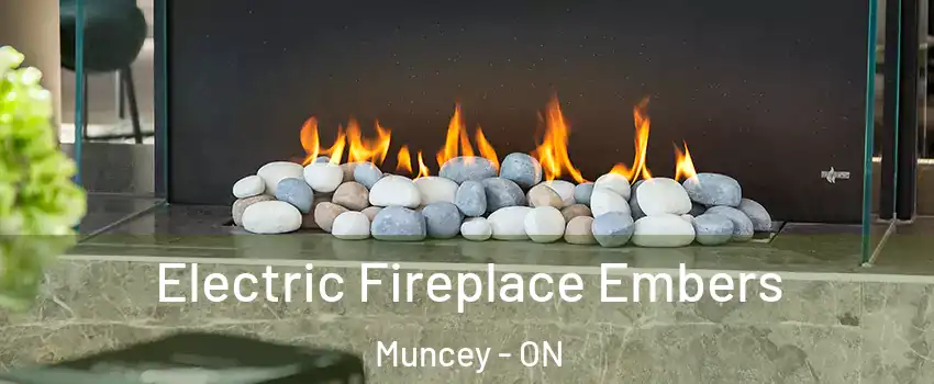  Electric Fireplace Embers Muncey - ON