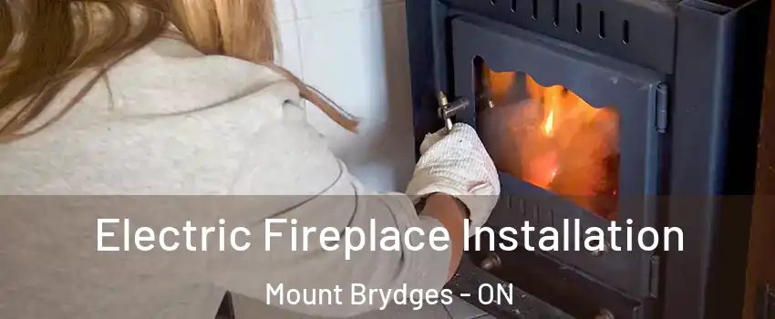  Electric Fireplace Installation Mount Brydges - ON