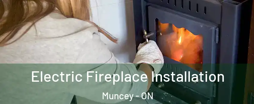  Electric Fireplace Installation Muncey - ON