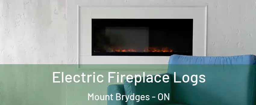  Electric Fireplace Logs Mount Brydges - ON