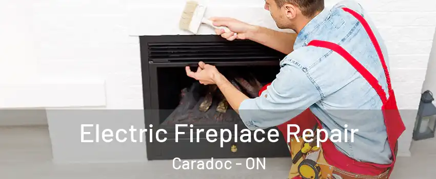  Electric Fireplace Repair Caradoc - ON