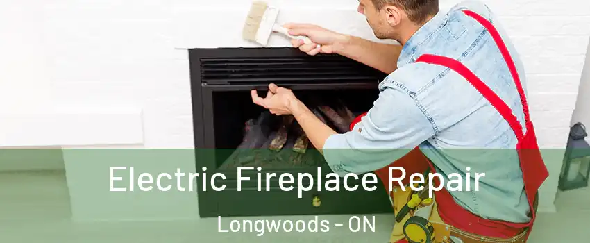  Electric Fireplace Repair Longwoods - ON