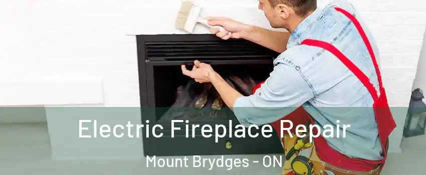  Electric Fireplace Repair Mount Brydges - ON