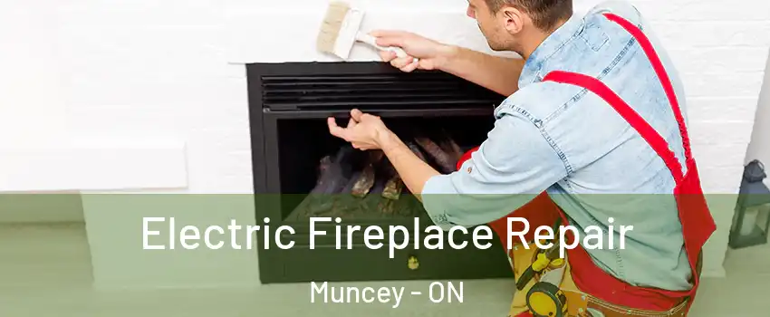  Electric Fireplace Repair Muncey - ON