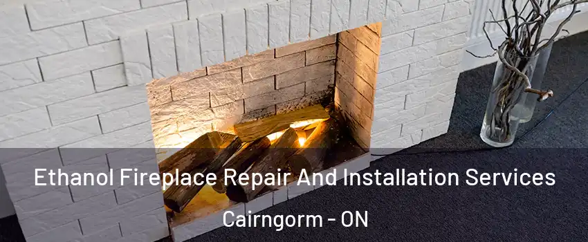  Ethanol Fireplace Repair And Installation Services Cairngorm - ON
