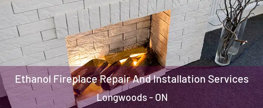  Ethanol Fireplace Repair And Installation Services Longwoods - ON