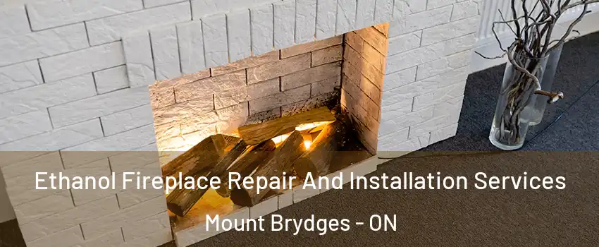  Ethanol Fireplace Repair And Installation Services Mount Brydges - ON