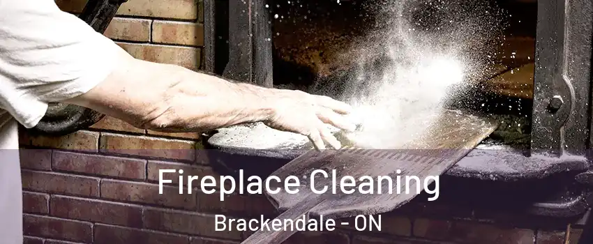  Fireplace Cleaning Brackendale - ON