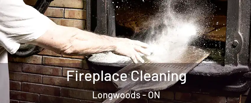  Fireplace Cleaning Longwoods - ON