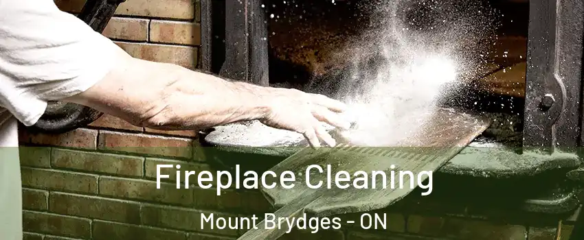  Fireplace Cleaning Mount Brydges - ON