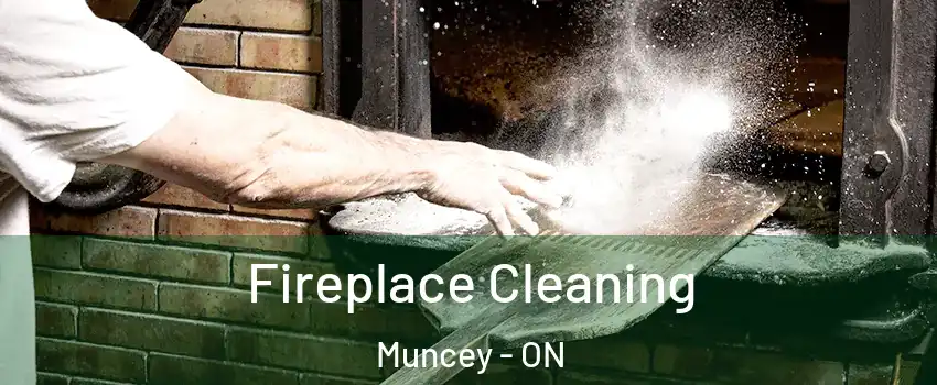  Fireplace Cleaning Muncey - ON