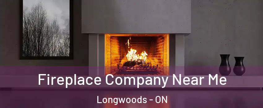  Fireplace Company Near Me Longwoods - ON