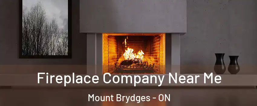  Fireplace Company Near Me Mount Brydges - ON