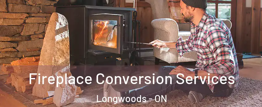  Fireplace Conversion Services Longwoods - ON