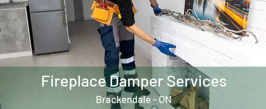  Fireplace Damper Services Brackendale - ON
