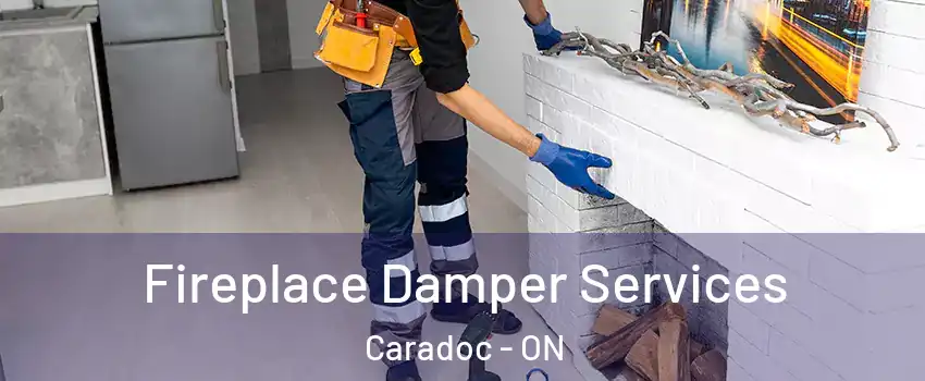  Fireplace Damper Services Caradoc - ON