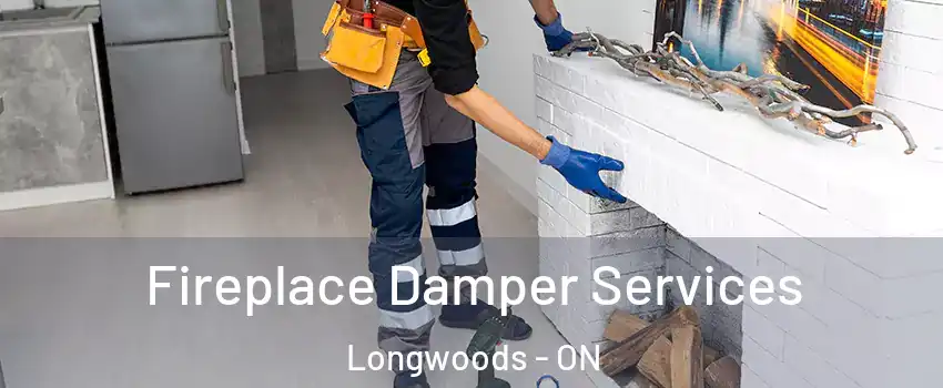  Fireplace Damper Services Longwoods - ON