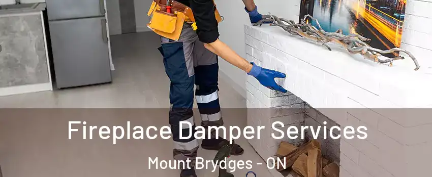 Fireplace Damper Services Mount Brydges - ON