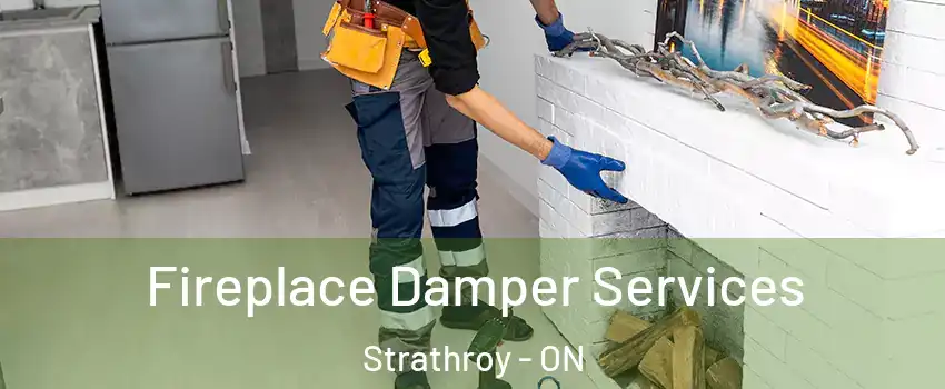  Fireplace Damper Services Strathroy - ON