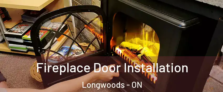  Fireplace Door Installation Longwoods - ON