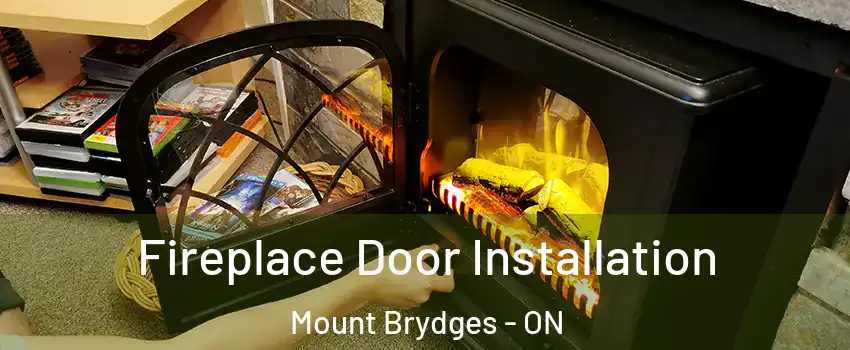  Fireplace Door Installation Mount Brydges - ON