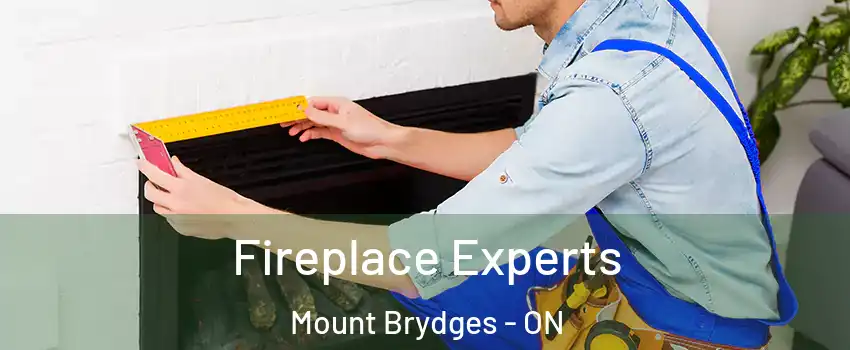  Fireplace Experts Mount Brydges - ON