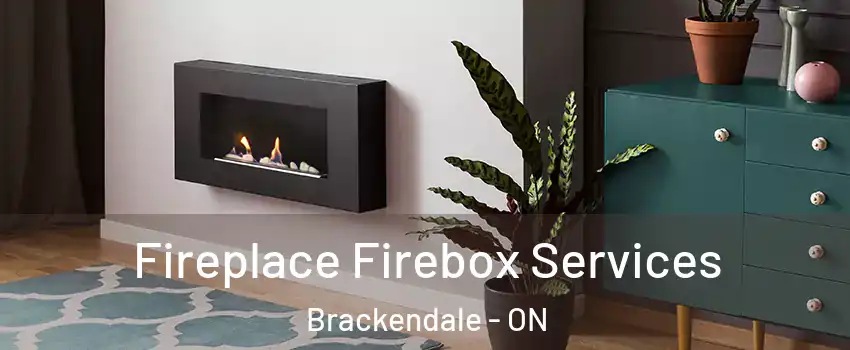  Fireplace Firebox Services Brackendale - ON