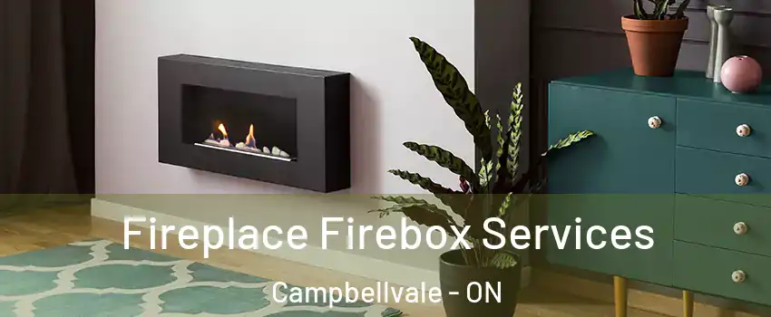  Fireplace Firebox Services Campbellvale - ON
