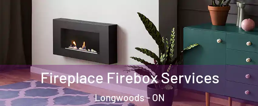  Fireplace Firebox Services Longwoods - ON